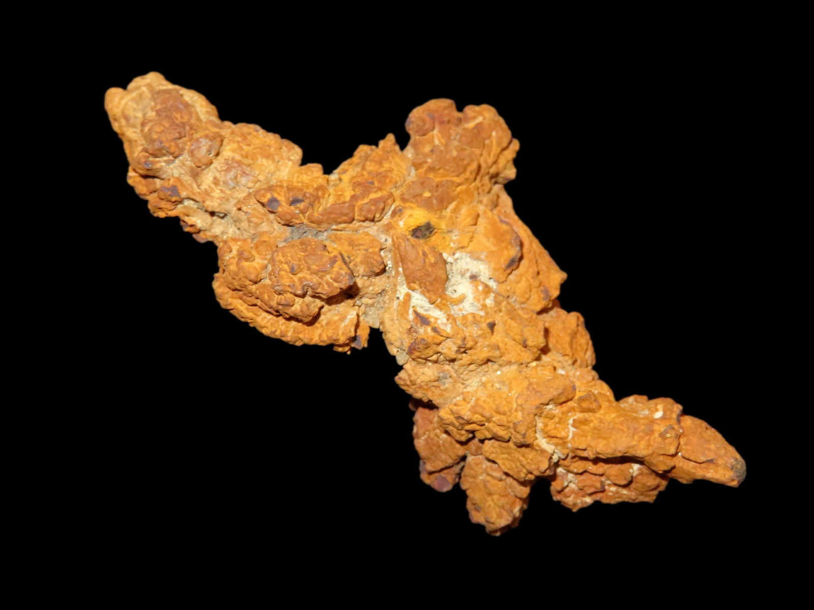 3.3/8" Coprolite Dinosaur Poop Fossil, Dung (1 of 5)