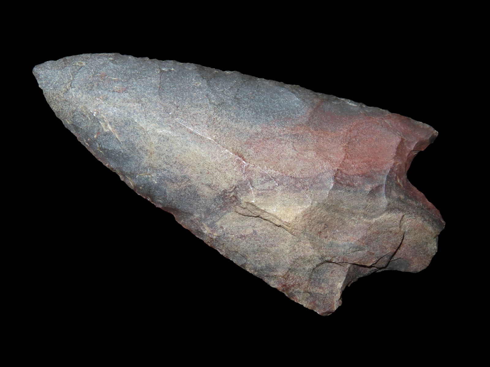 2 1/2" Florida Newnan (1 of 4)