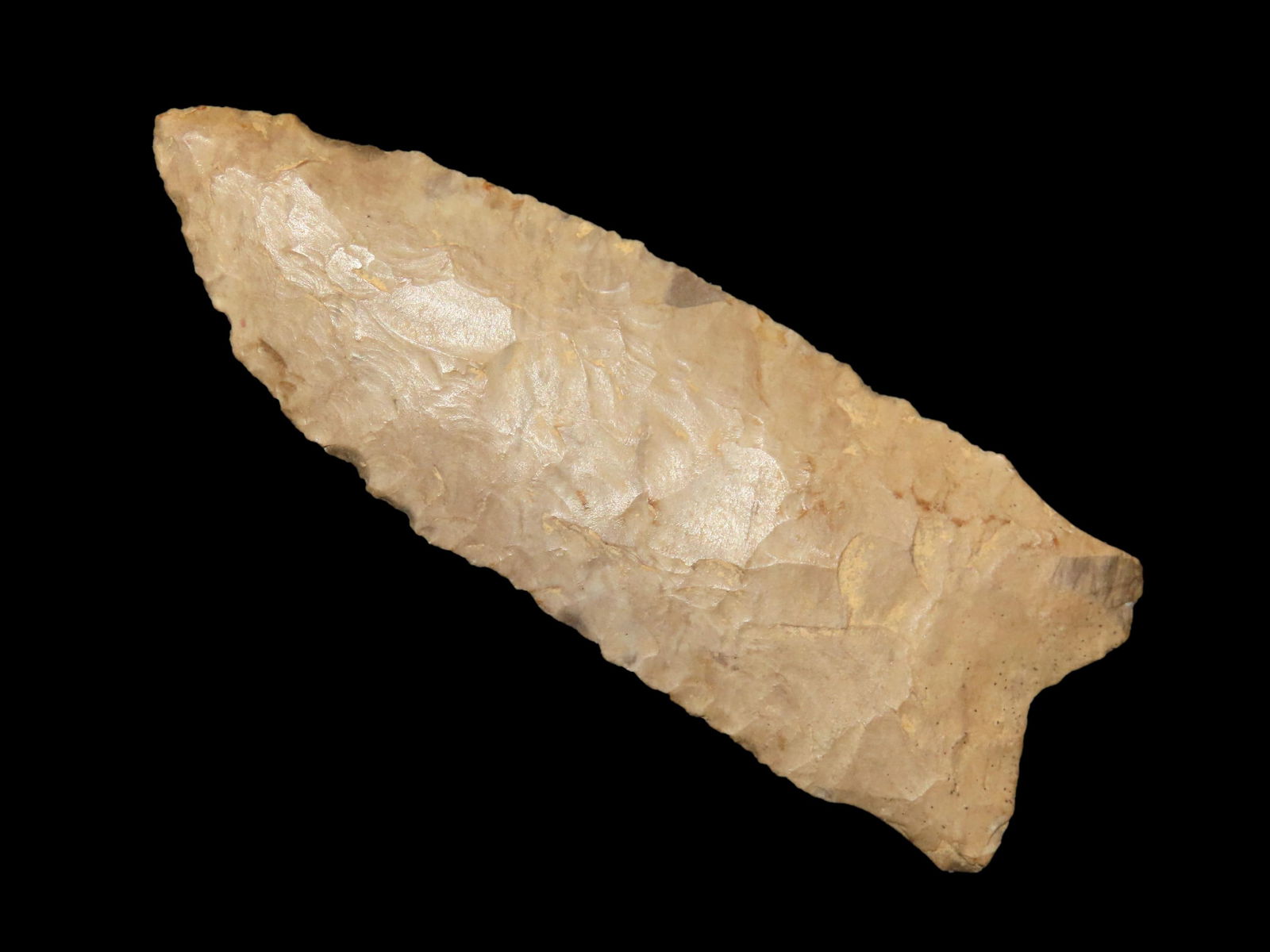 3.15/16" Dalton Greenbriar, Western KY, Davis COA (1 of 10)