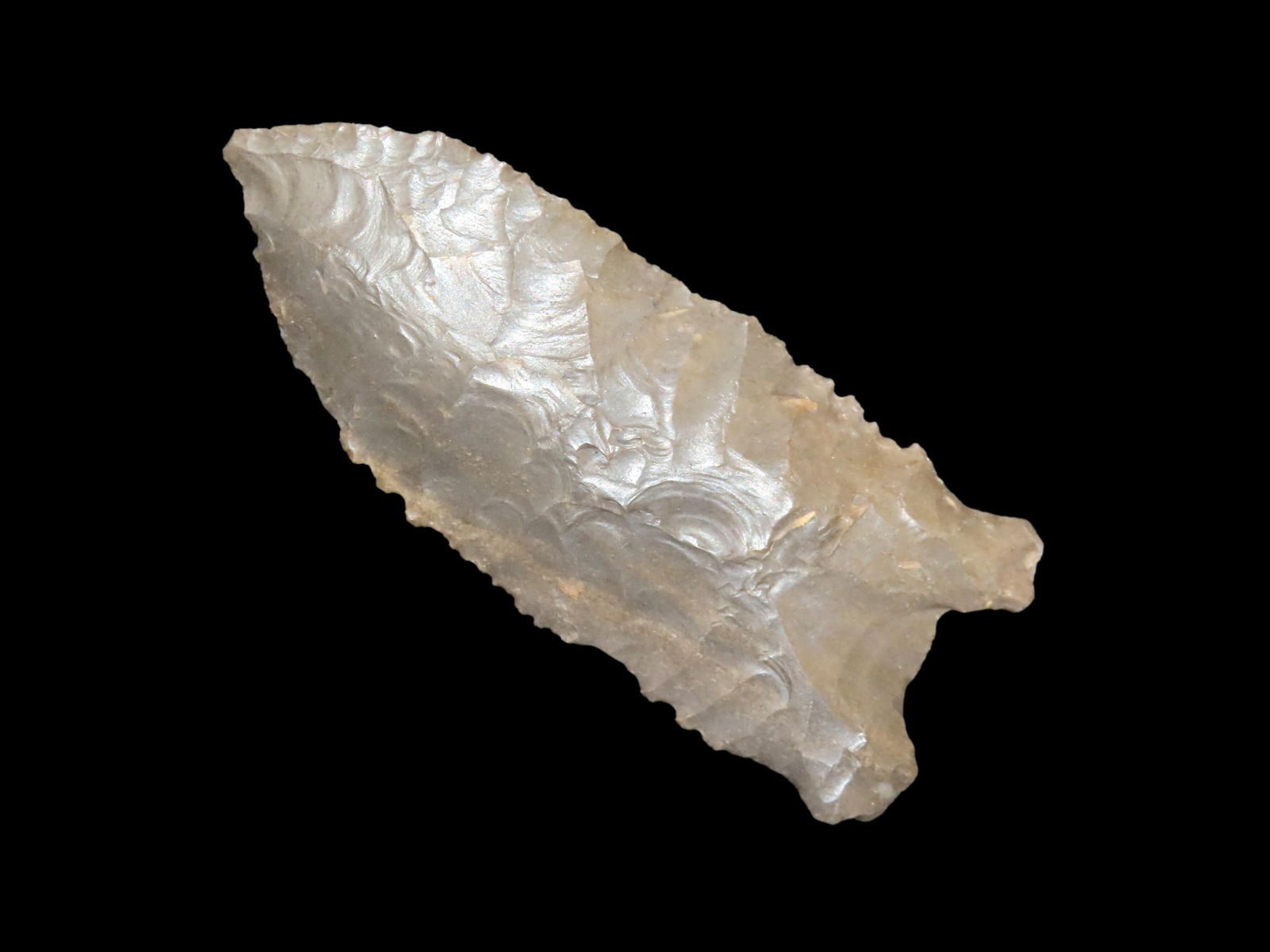 3.3/16" Dalton Greenbriar, Logan CO KY, Davis COA (1 of 10)