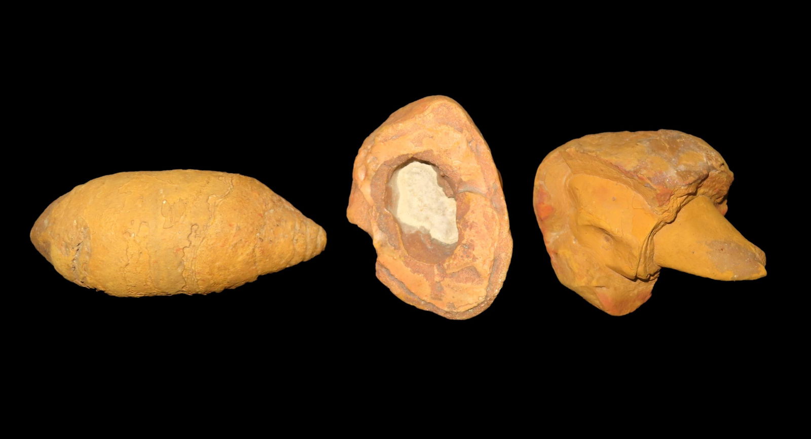 Set of 3 Rock/Fossil Specimens from the Mojave Desert (1 of 3)