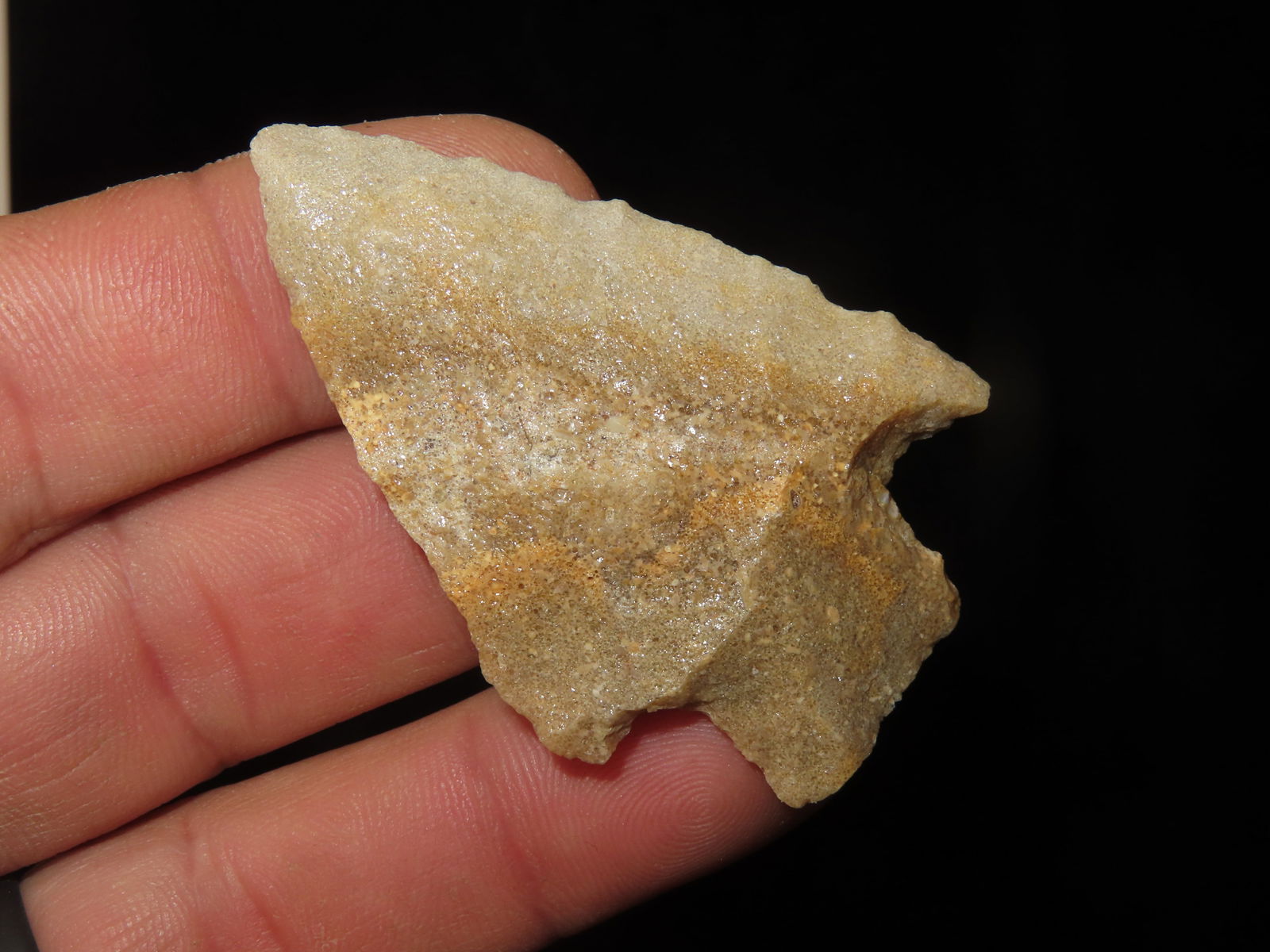 2. 3/8" Stone square stem. Greene Co MO. Motley COA (1 of 5)