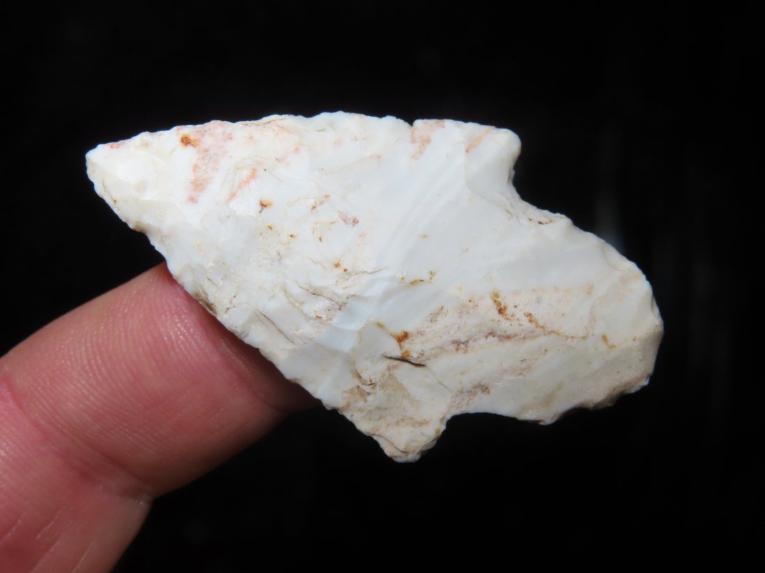 2" Adena. Cole Co MO. Motley COA: 2" Adena. Cole Co MO. Motley COA