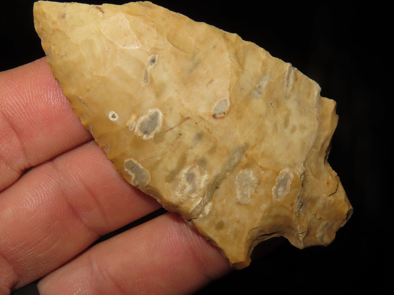 3. 1/16" Etley. Saline Co MO. Motley COA (1 of 5)