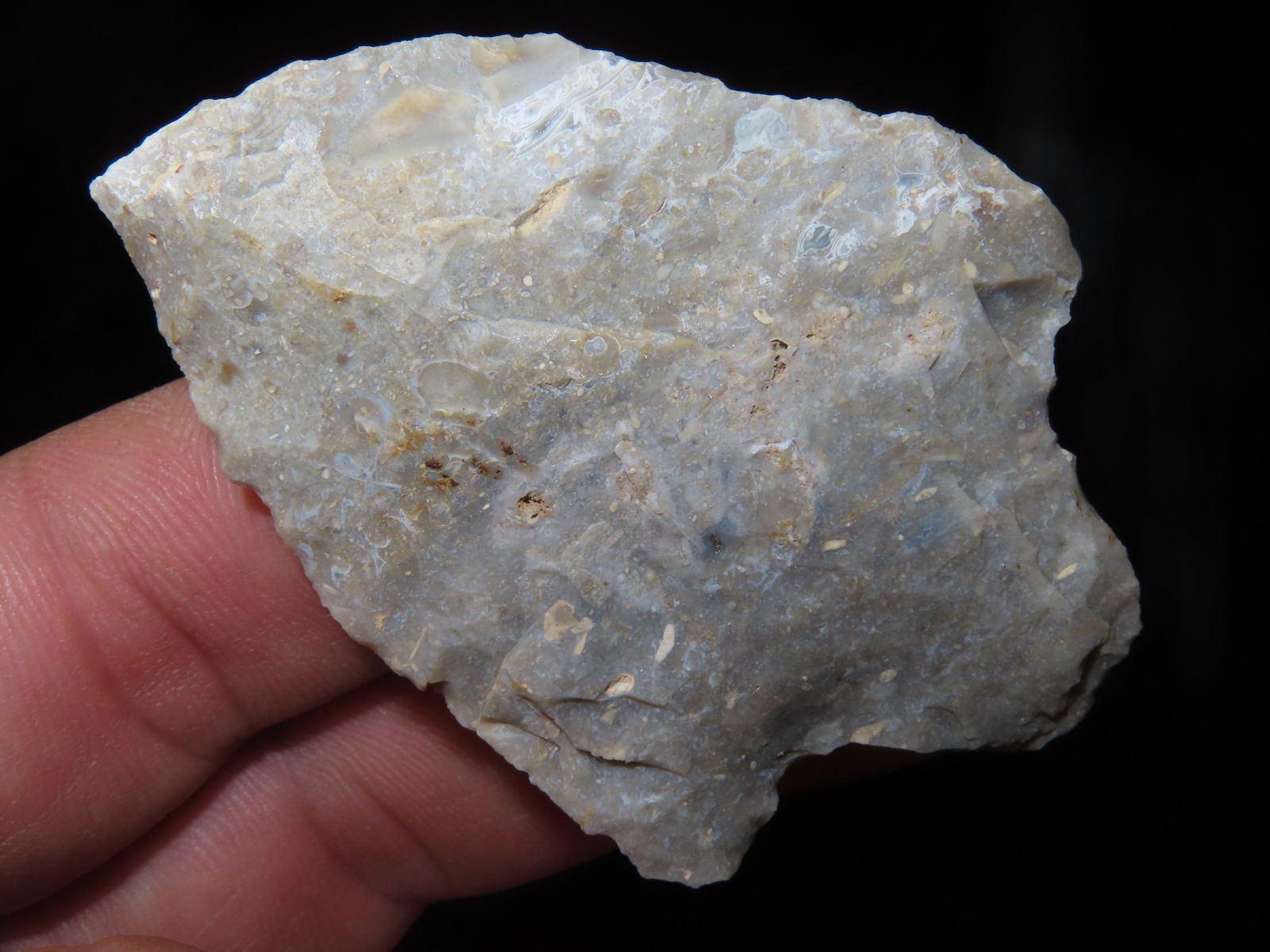 2. 1/2" Adena. Osage Co MO. Motley COA (1 of 5)