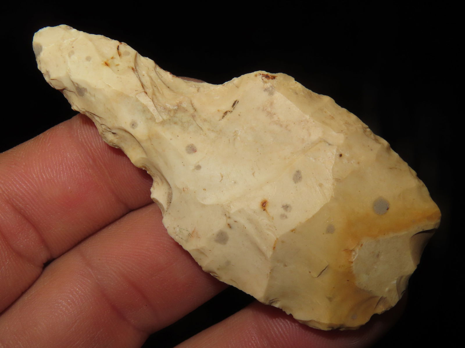 3. 1/16" Drill Saline Co MO Motley COA (1 of 5)