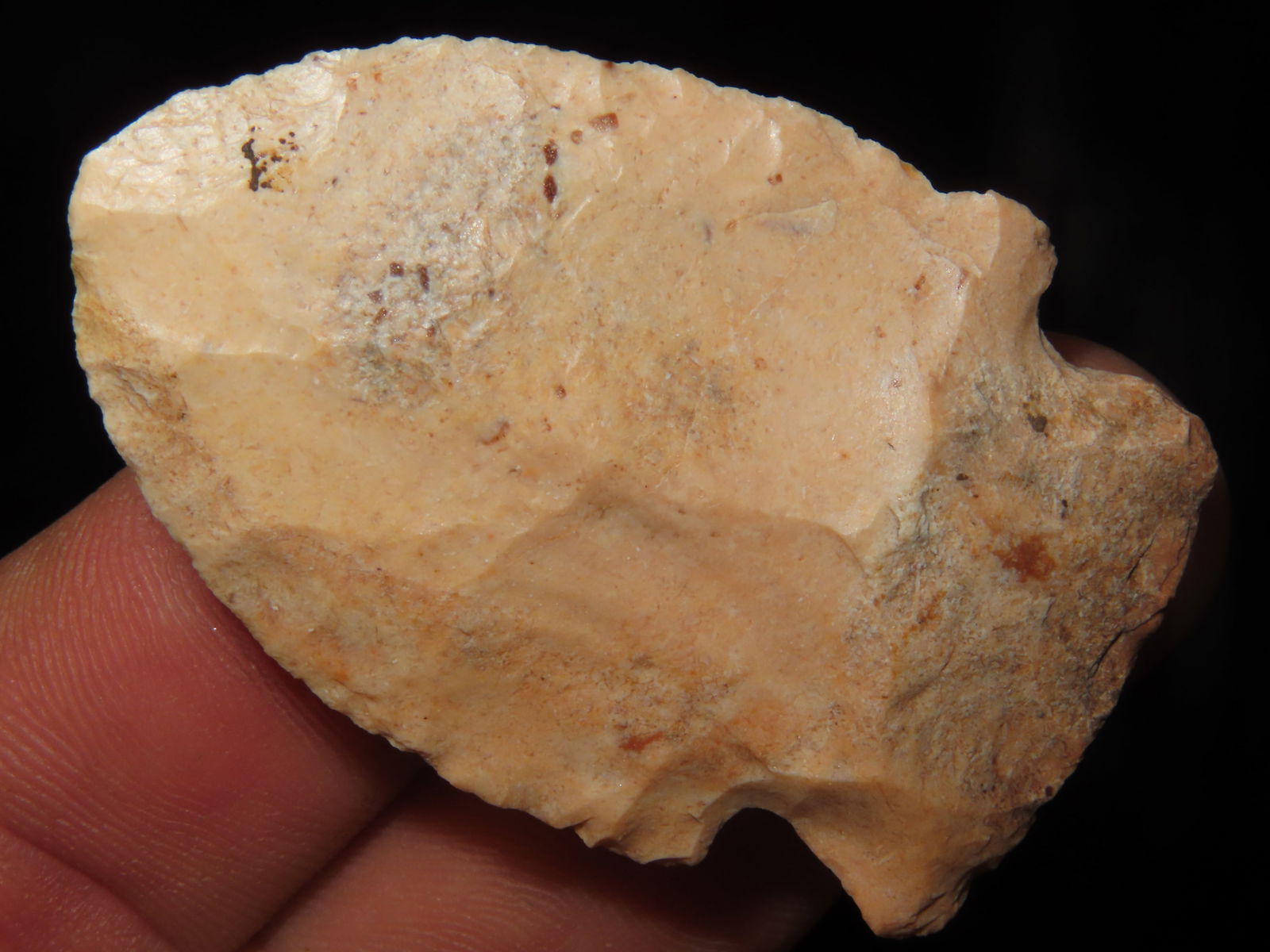 2.1/16" Hopewell, Callaway CO MO, Motley COA: 2.1/16" Hopewell, Callaway CO MO, Motley COA