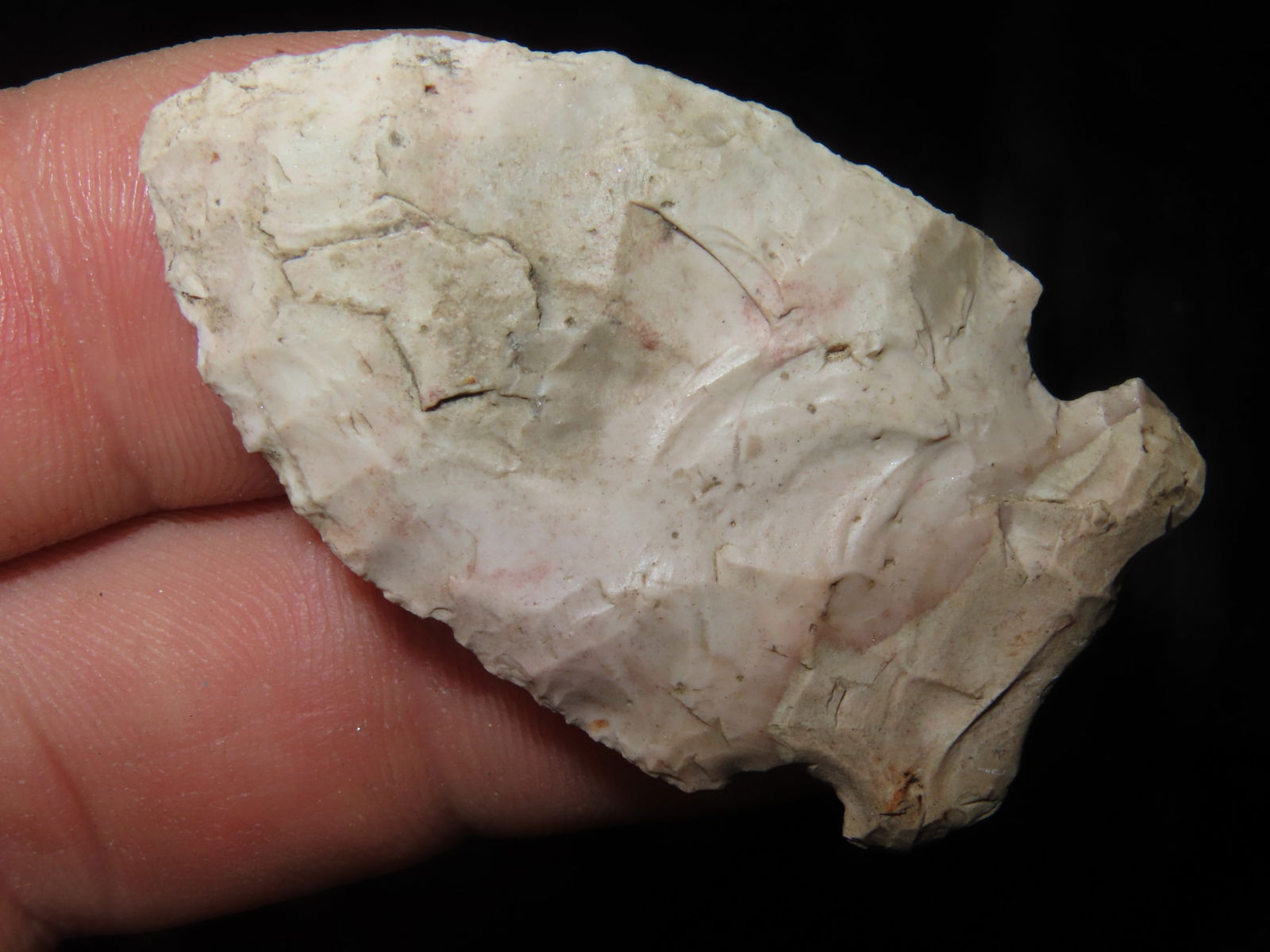 1 3/4" Raddize , found on Wilkerson farm in Perry, Pike Co ILL by Gary Wilkerson (1 of 4)