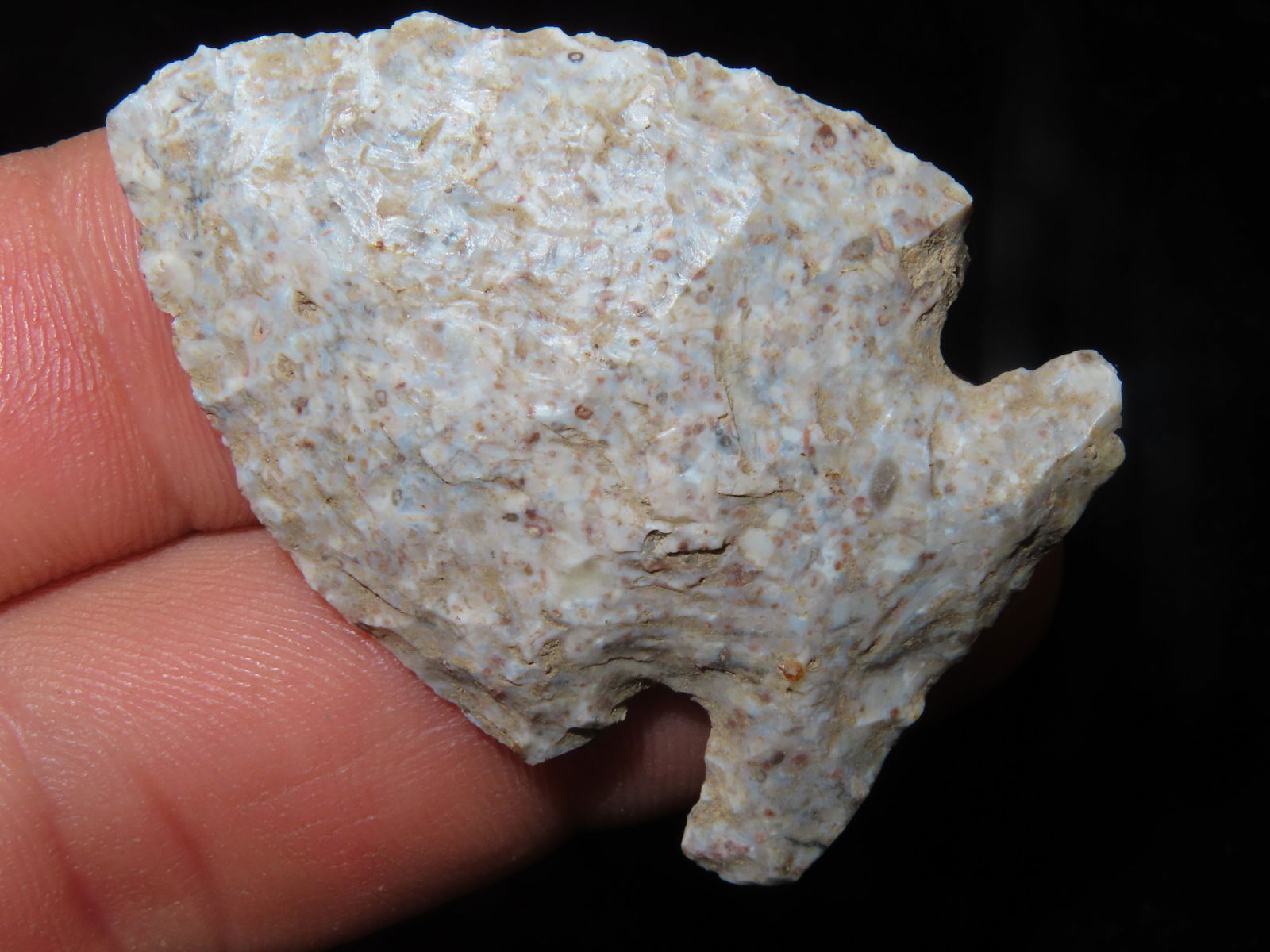 1 7/8" Fossilized Chert side notch, found on Wilkerson farm in Perry, Pike Co ILL by Gary Wilkerson (1 of 4)