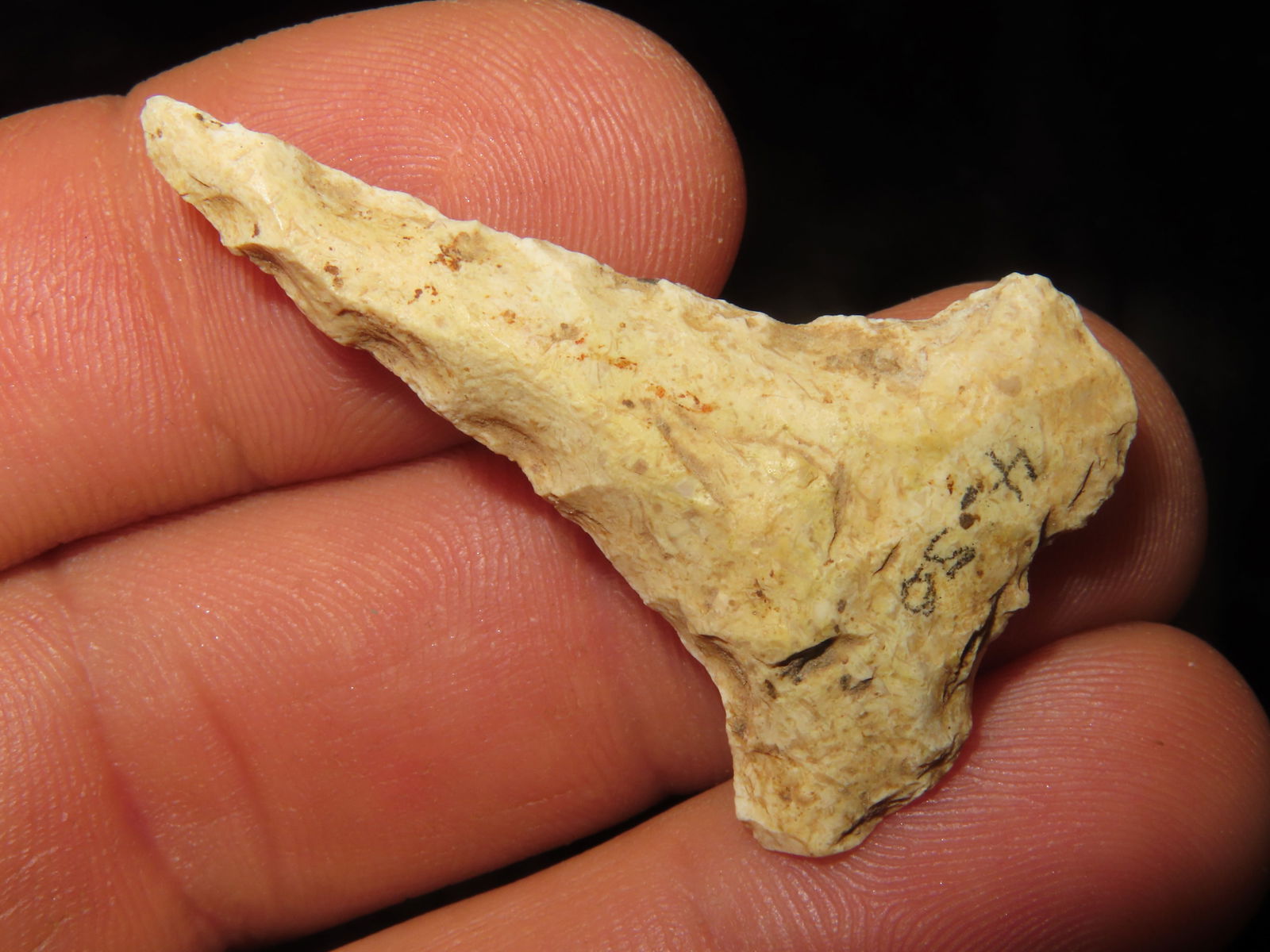 1 5/8" Indentend base dovetail drill found on Wilkerson farm in Perry, Pike Co ILL by Gary Wilkerson (1 of 4)