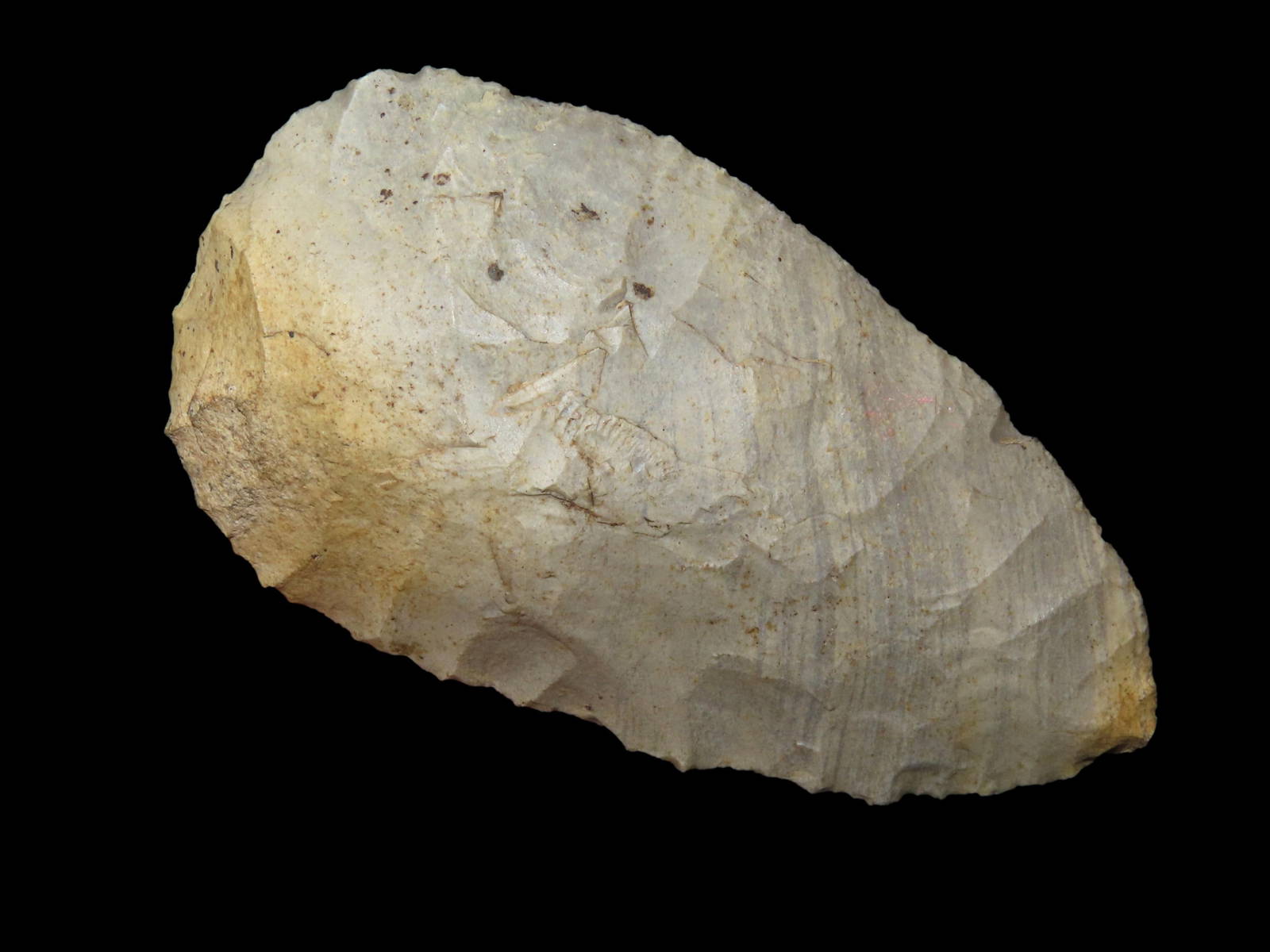 Quality Uniface Archaic Knife, Found In Central Michigan, Ex Robert