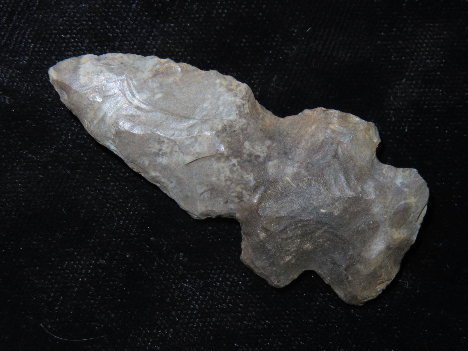 Amazing Evans Double-Notch-  Prenters Chert Material, found in NE Arkansas (1 of 7)