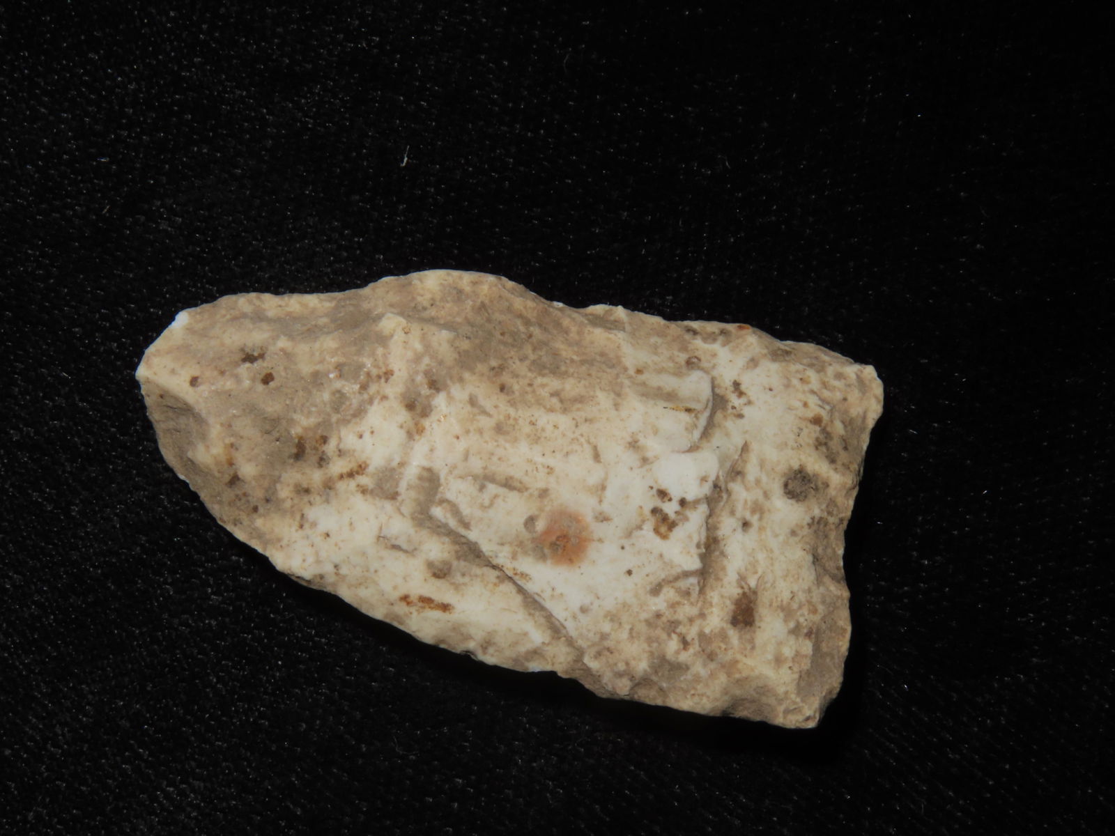 Paleo Dalton, found in Pike Co Illinois (1 of 7)