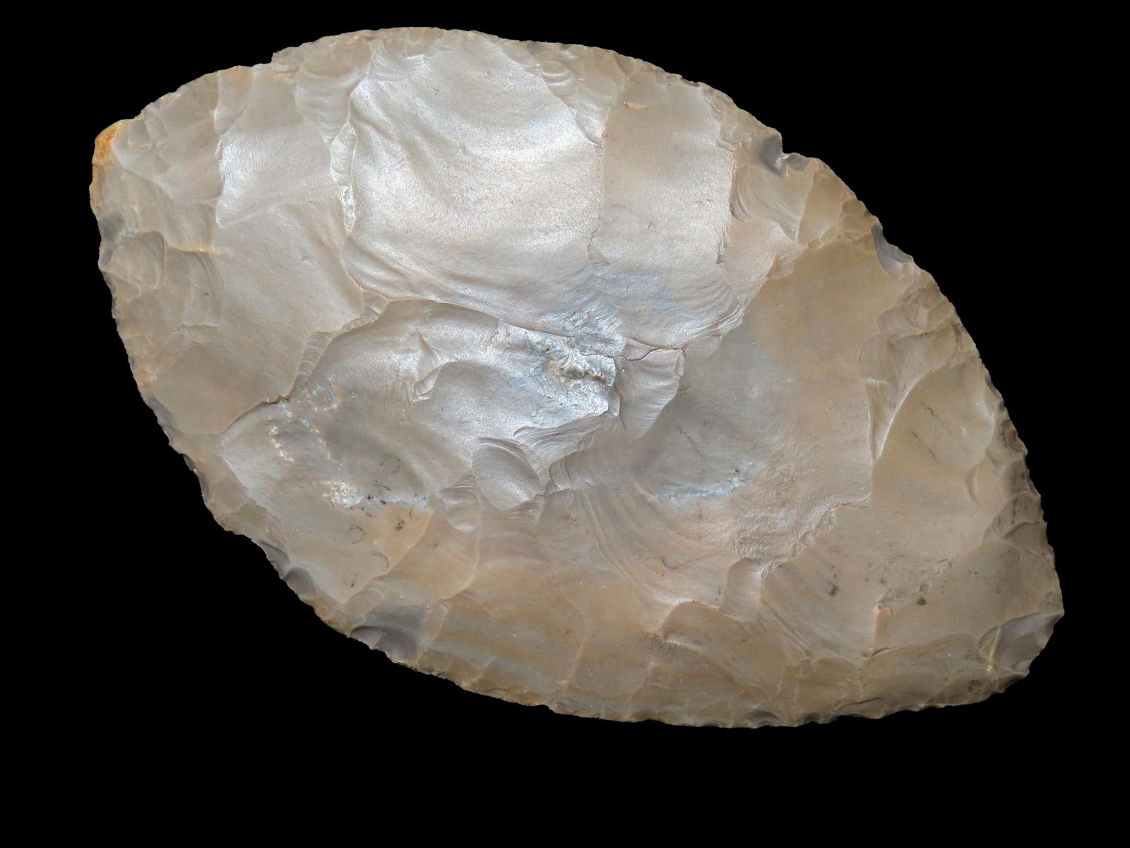 6 1/2" Cache Blade, Motley COA, made of Hornstone, found in Illinois(see also Lot #98) (1 of 11)