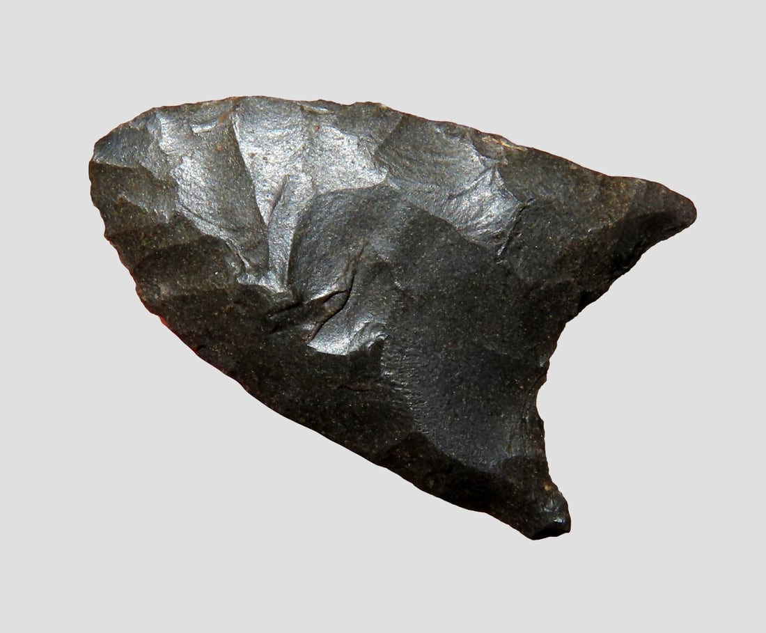 1 3/16" Clovis, Stermer COA, found in Louisiana (1 of 5)