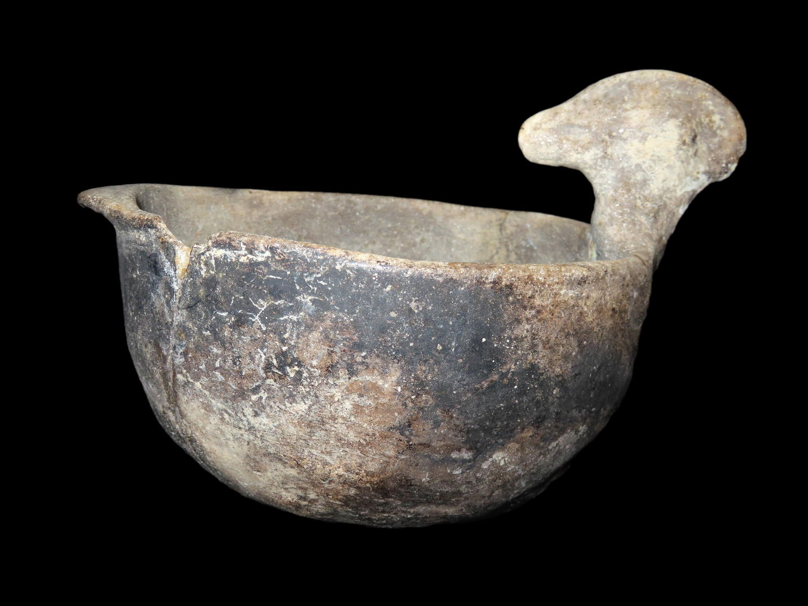 10 1/4" Wood Duck Effigy Rimmed Pottery Vessel, McDuffy Site, Poinsett Co Arkansas,  Ex Ray Meiners (1 of 11)