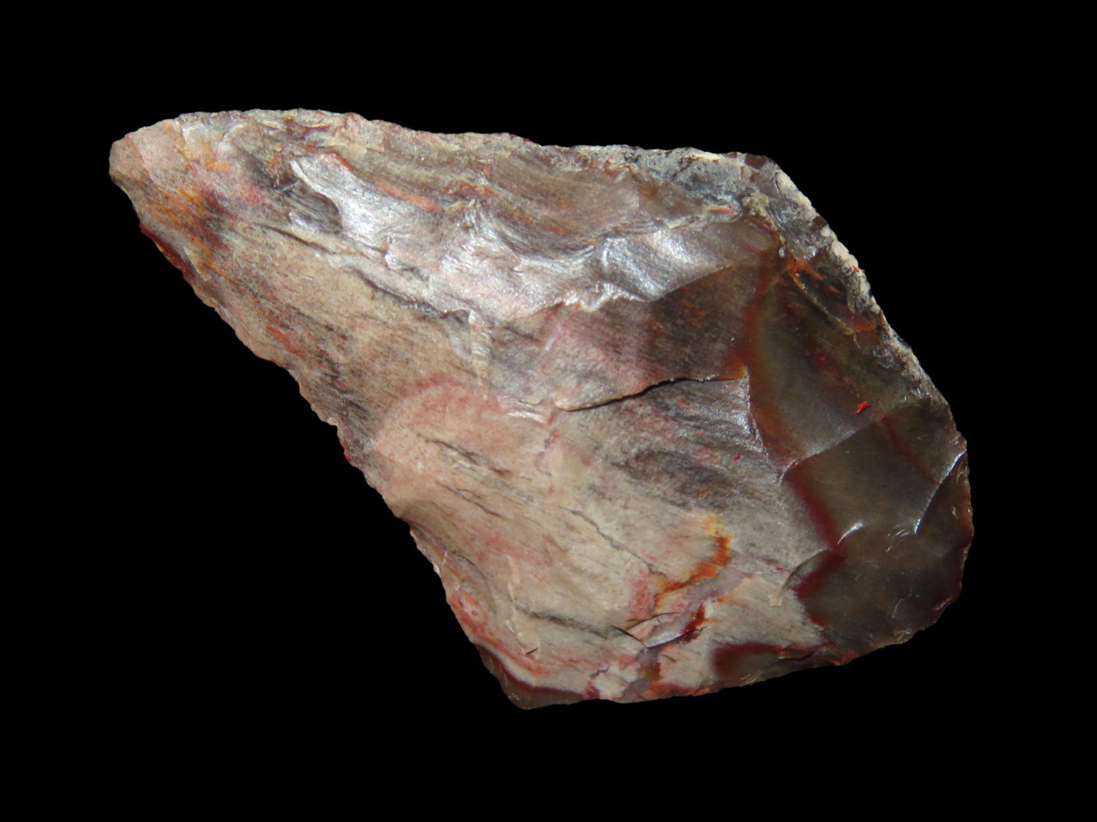 1 15/16" Cascade Point, Motley COA, part of collection found by Dusty Rhoades in Oregon, Ex Herb (1 of 5)