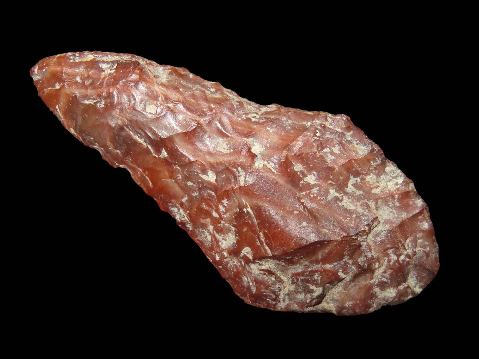 2 1/4" Cascade Point, Motley COA, part of collection found by Dusty Rhoades in Oregon, Ex Herb (1 of 5)