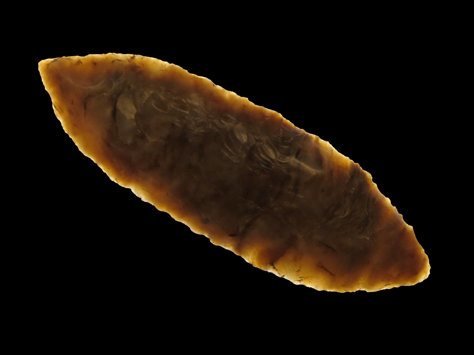 2 3/4" Cascade Point, Motley COA, part of collection found by Dusty Rhoades in Oregon, Ex Herb (1 of 6)