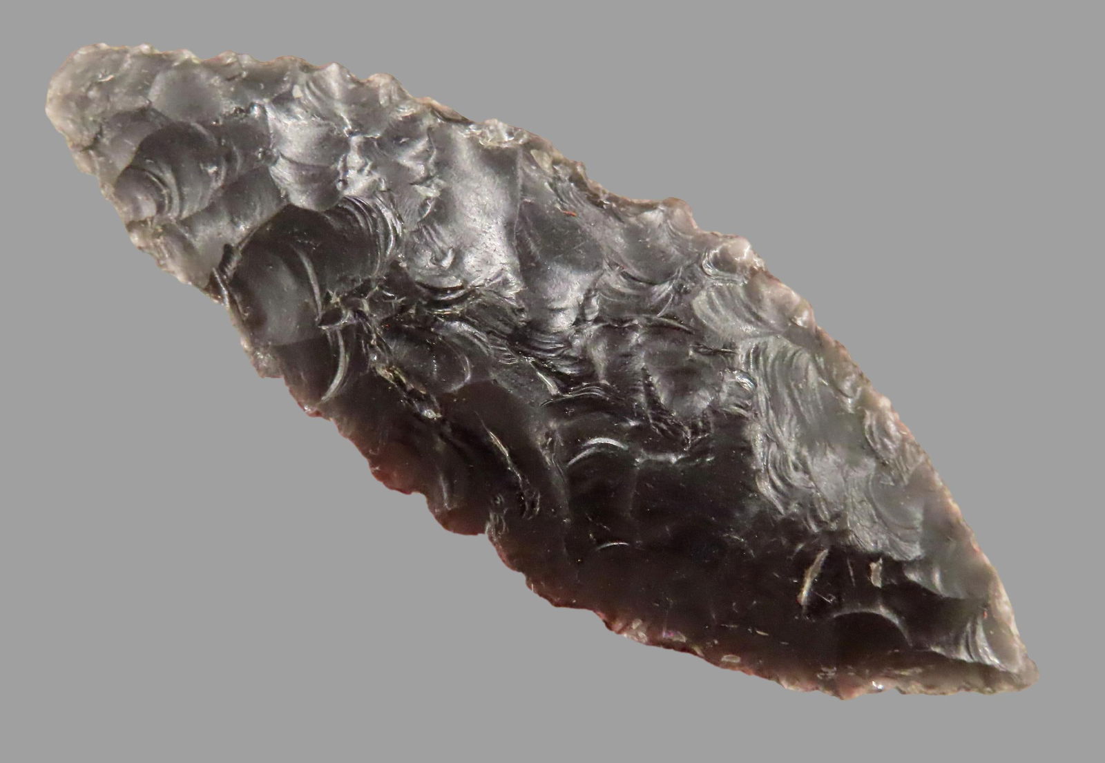 2 1/2" Excelsior, Motley COA, part of collection found by Dusty Rhoades in Oregon, Ex Herb Mangold (1 of 7)