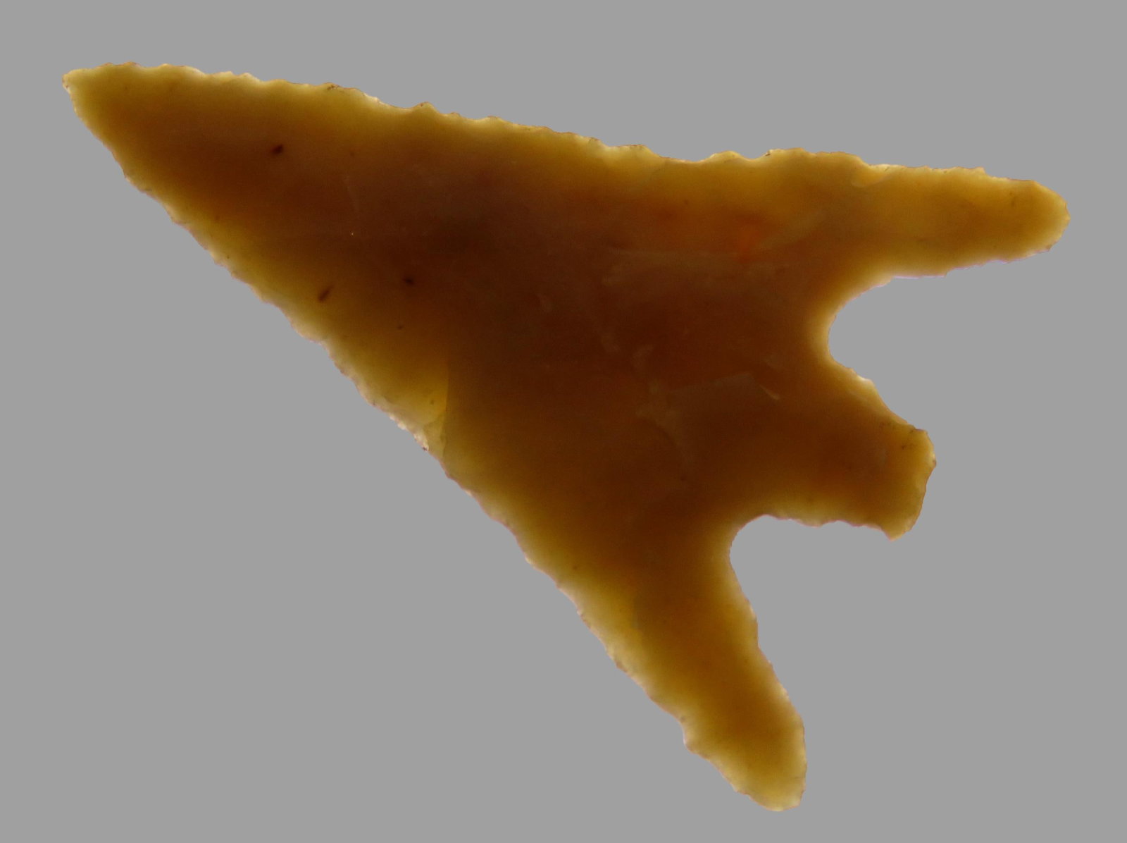 1" Bird Point from the Jed Priest Collection, Finders are Glenn Kizzia and Joe Shurtleff, about 1/2 (1 of 5)