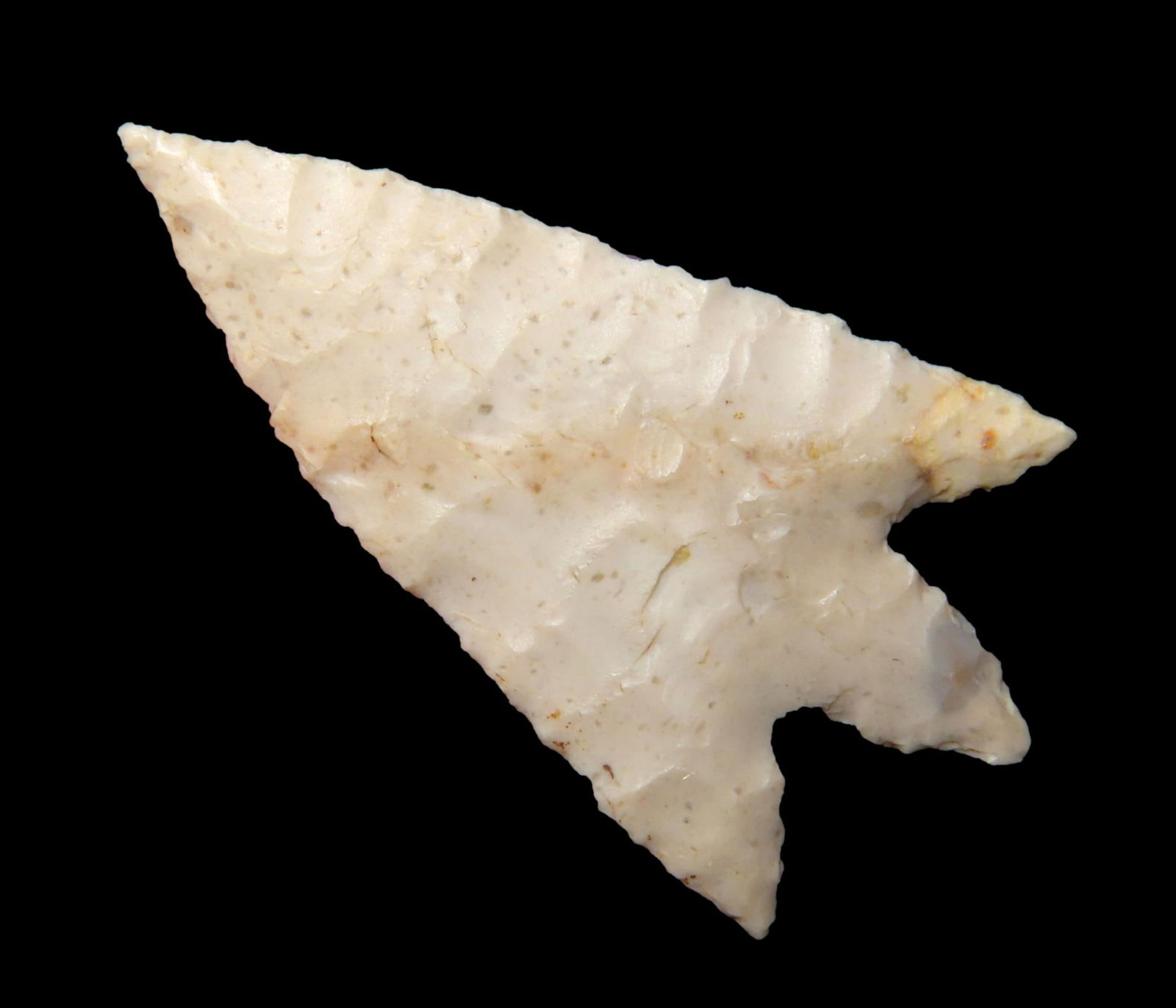 1" Bird Point from the Jed Priest Collection, Finders are Glenn Kizzia and Joe Shurtleff, about 1/2 (1 of 4)