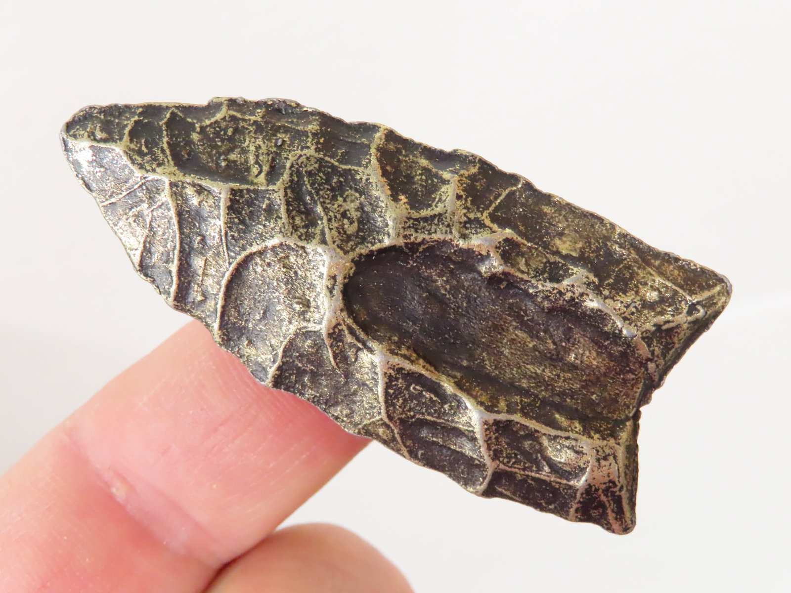 2.1/8" Metal Folsom Cast with Paper: 2.1/8" Metal Folsom Cast with Paper