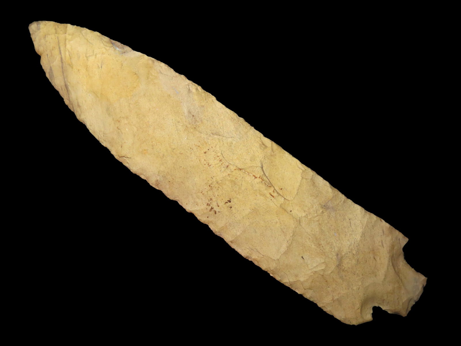 HUGE 7 1/4" ETLEY, PERINO & MOTLEY COA, FOUND IN MISSOURI, EX T.H. WILLIS COLLECTION, MASSIVE: HUGE 7 1/4" ETLEY, PERINO & MOTLEY COA, FOUND IN MISSOURI, EX T.H. WILLIS COLLECTION, MASSIVE EXAMPLE WITH GREAT FLAKING AND NICE COLOR