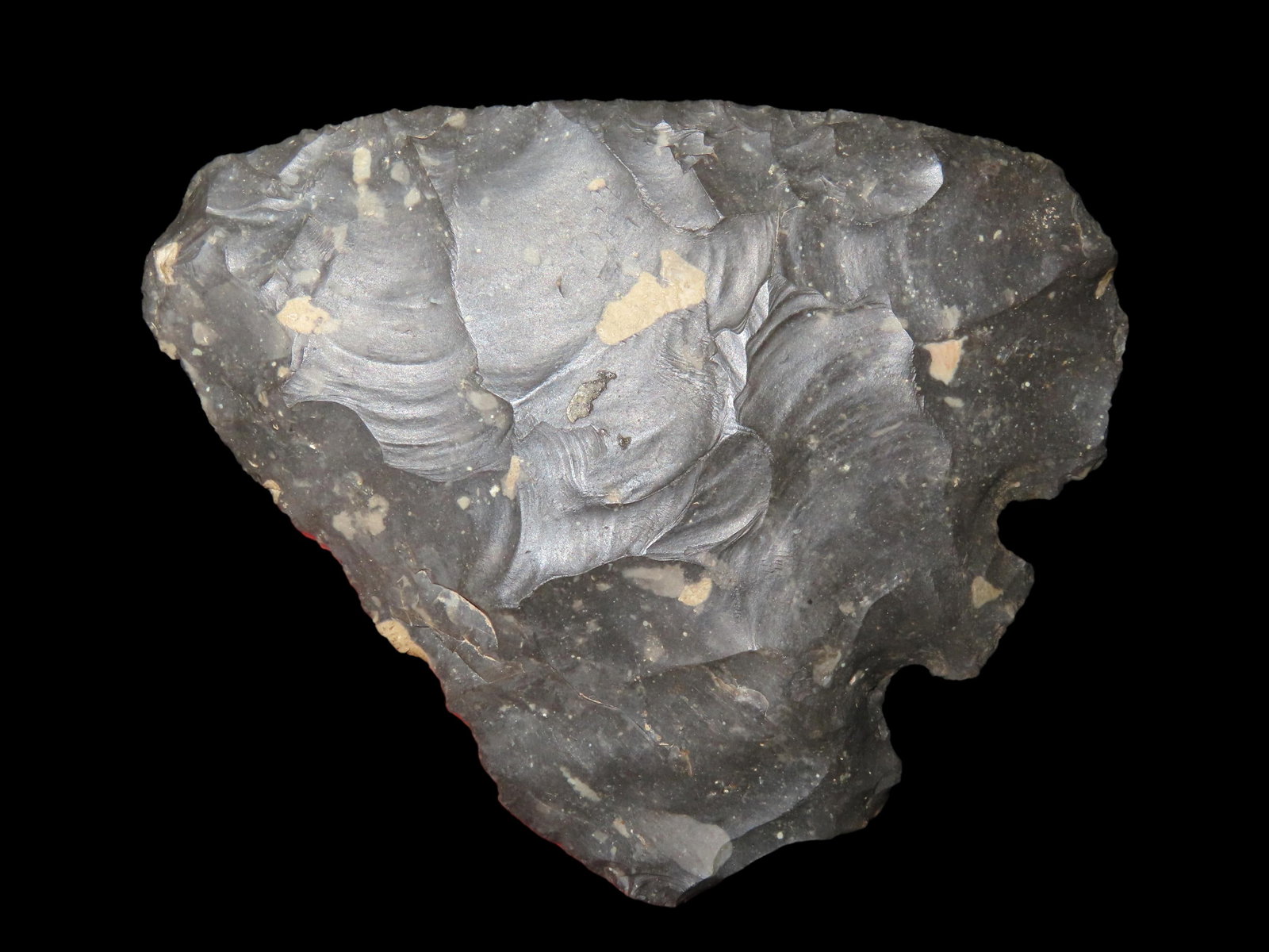 INCREDIBLE 4 11/16" TEXAS BASE TANG KNIFE, ROGERS COA, FOUND IN CENTRAL TEXAS, VERY LARGE NO BRAINER (1 of 8)