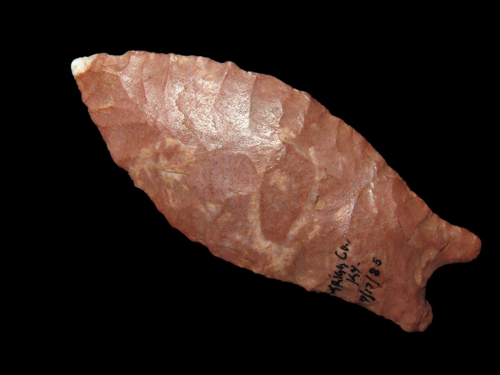 Superior Classic Wheeler Recurvate / Clovis / Quad, Pictured in Overstreet 12 Page 531, 2.3/8" long, (1 of 8)