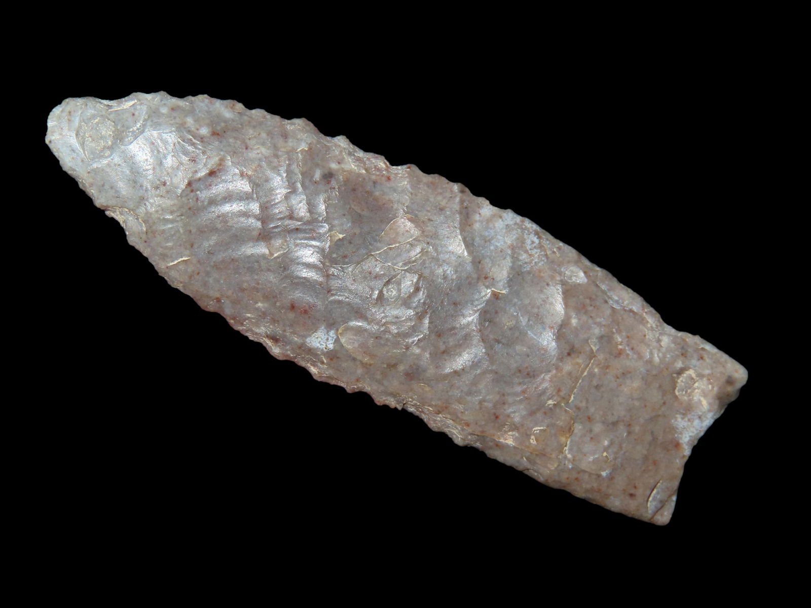 2 3/8" Plainview,2x COA- Dickey/Rogers, found in Wilson Co Texas at the Wilson Sand Pit, Ex Bill (1 of 10)