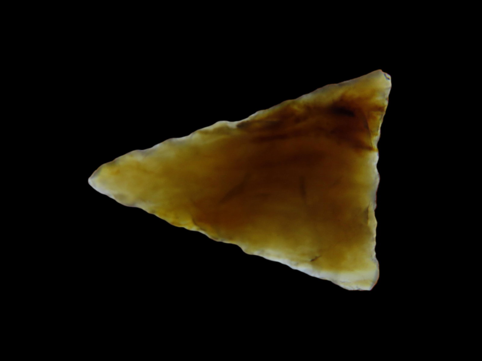 7/8" Bird Point found in South Dakota, Types include Harrell, Avonlea, Cut bank, Triangle, Washita (1 of 4)