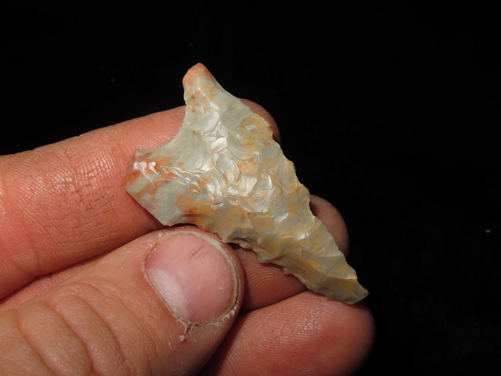 1.3/4" Dalton, Clay Co Ark: 1.3/4" Dalton, Clay Co Ark