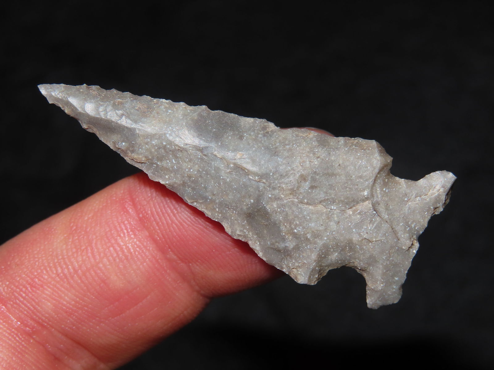 1 7/8" Texas Arrowhead, Ex Carruthers, Ex Partain (1 of 4)