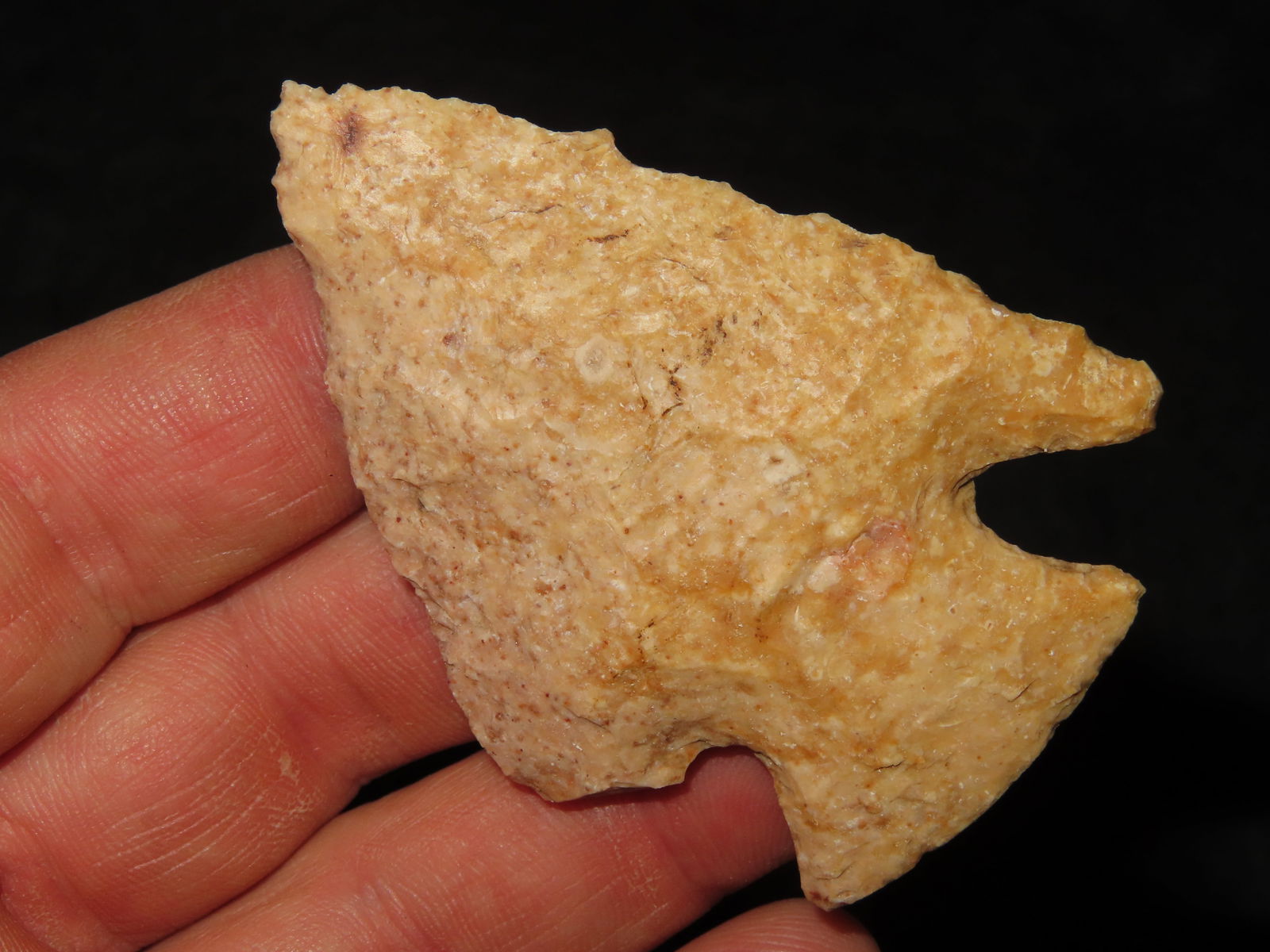 2 5/8" Snyders, found in Illinois, Ex Cathers Collection (1 of 6)