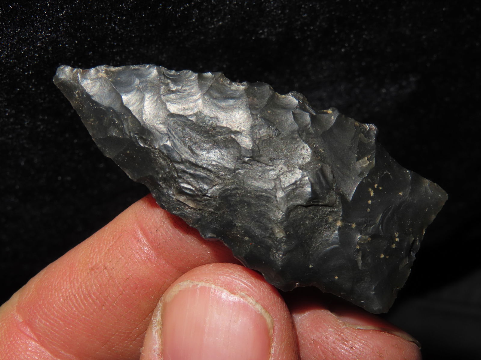 2" Serrated Kirk, Central Kentucky (1 of 5)