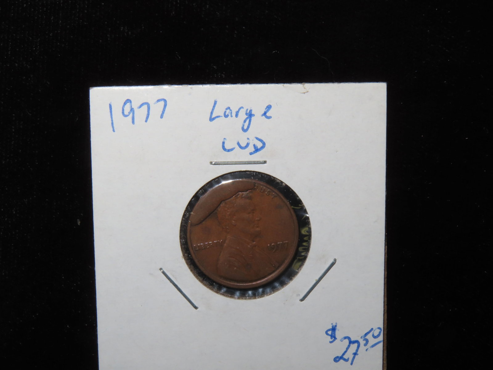 1977 United States of America Lincoln Atheist Penny, Large Rim Cud-A cud on a coin is a damaged area: 1977 United States of America Lincoln Atheist Penny, Large Rim Cud-A cud on a coin is a damaged area resembling a blob on the surface of a coin. The cud is raised above the field, obliterating the dev