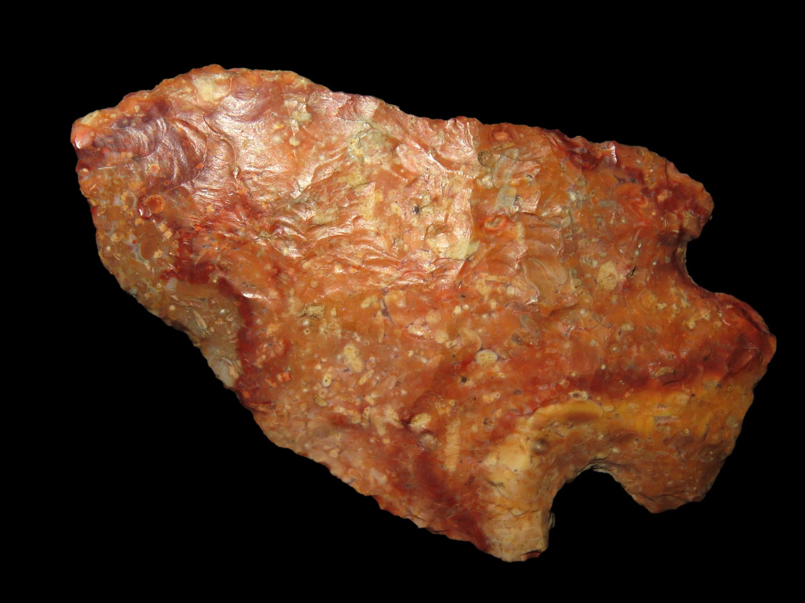 2.3/4" Rice Lobbed Point found in Missouri, This relic has super swirling colors from tan to red to (1 of 6)