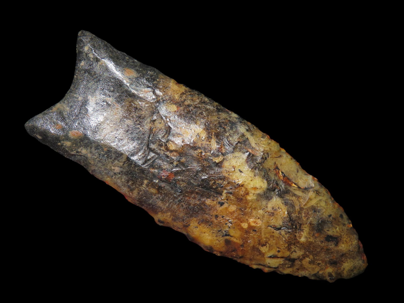 3 1/16" **RESTORED** Clovis, Dickey COA, Semi-translucent, marked "TN" for provenance, material (1 of 11)