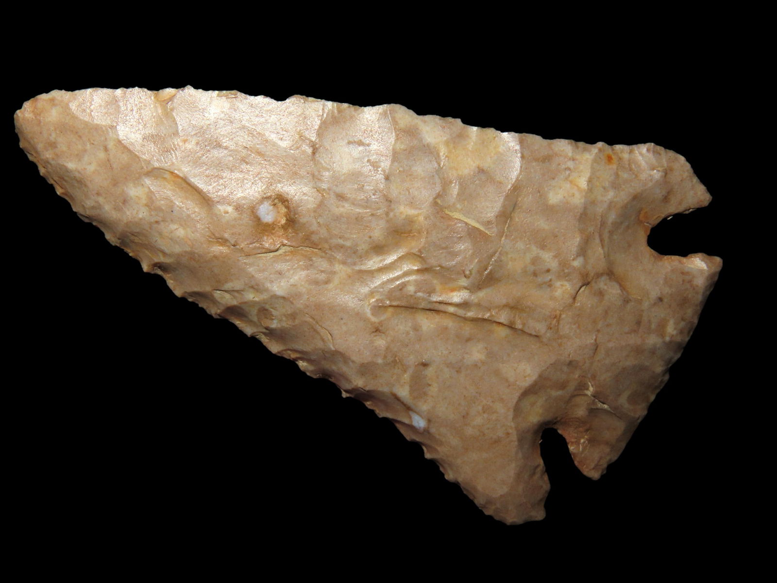 2 15/16" Lost Lake, Motley COA, found in Tennessee (1 of 10)