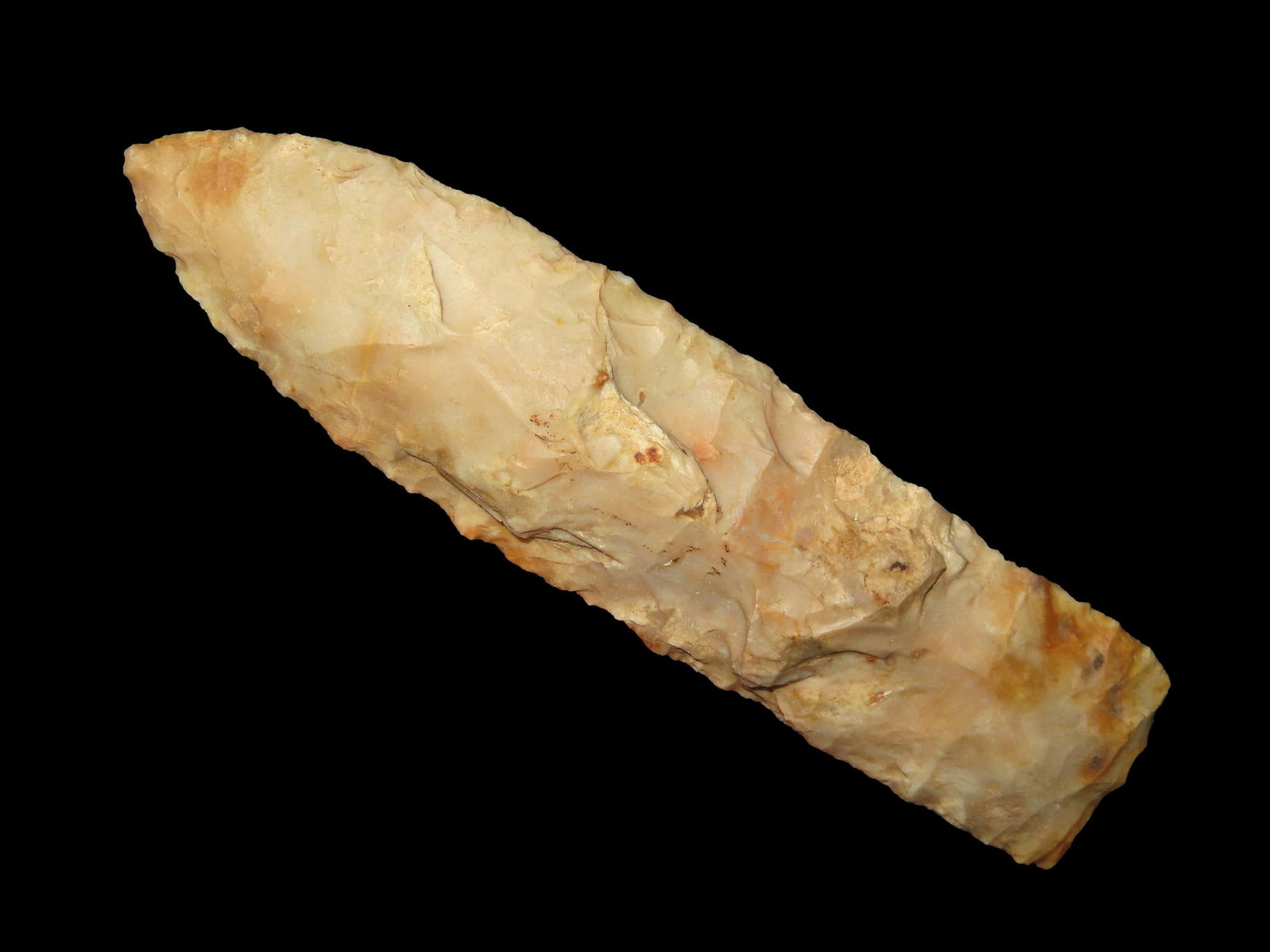 5 1/2" Wadlow, Motley COA, found in Missouri (1 of 9)