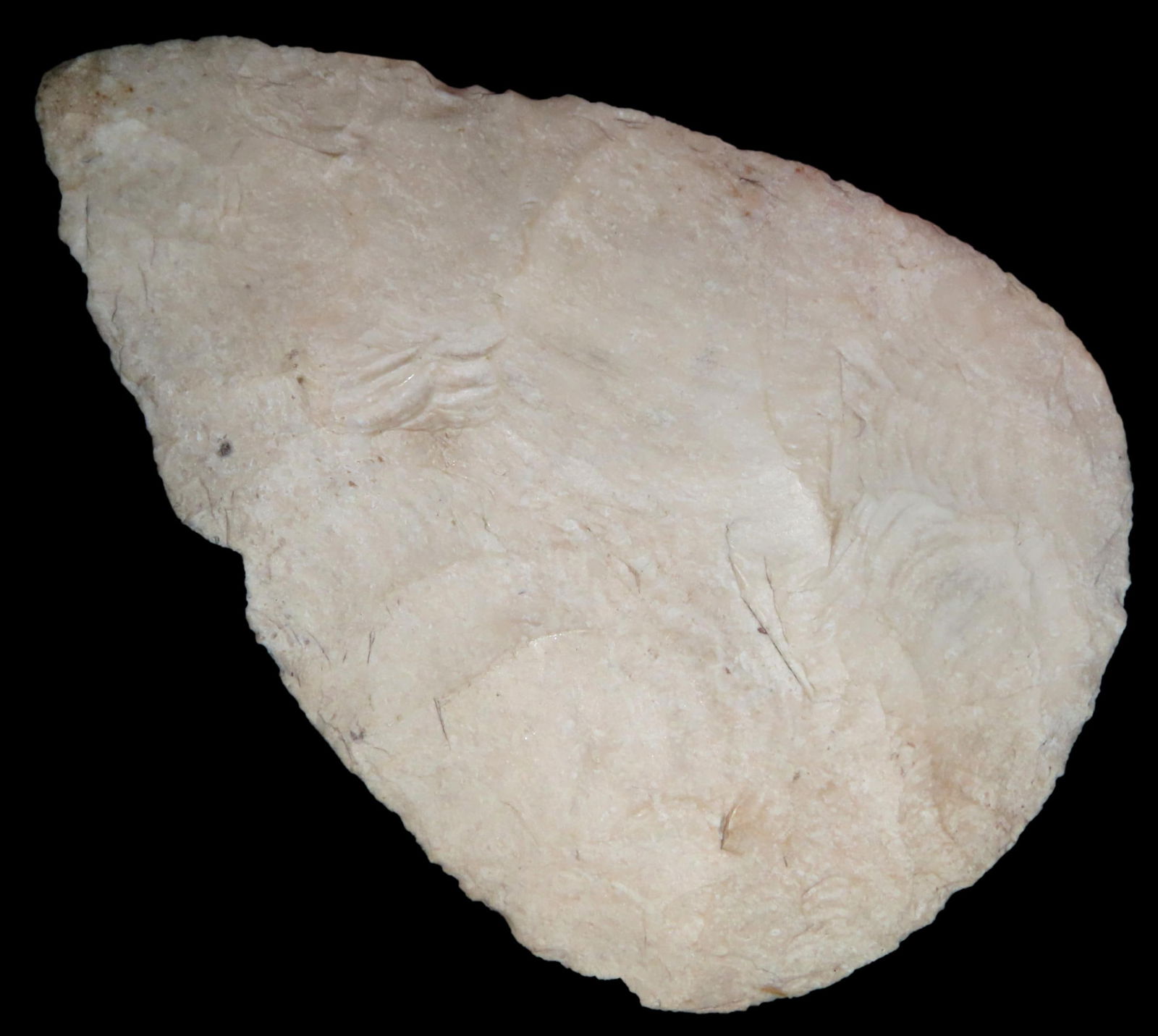 4.7/8" North Blade.  HUGE, Lasalle Co IL, Ex Brian Sunderberg, Ex "James" coll. Acquired from Mitch (1 of 10)