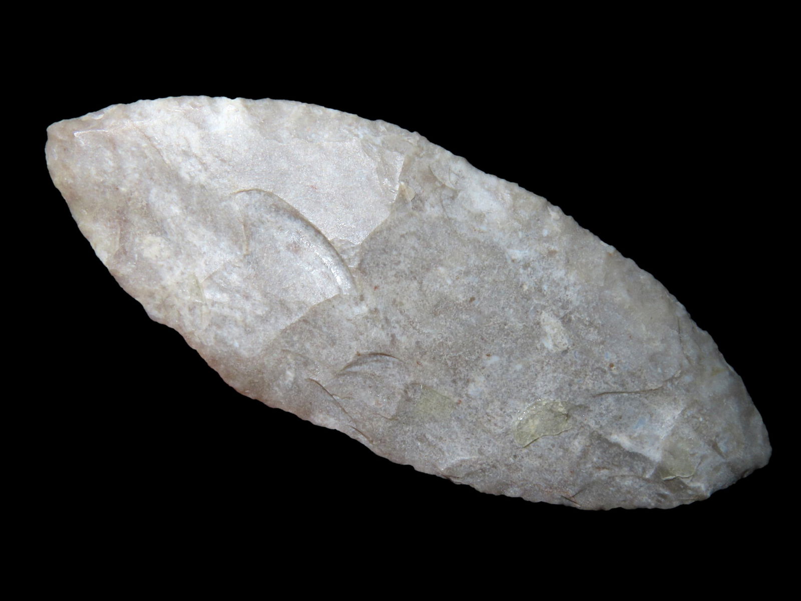 3" Harahey, Motley COA, found in Bell Co., Texas, Ex Terry Allen Collection (1 of 5)