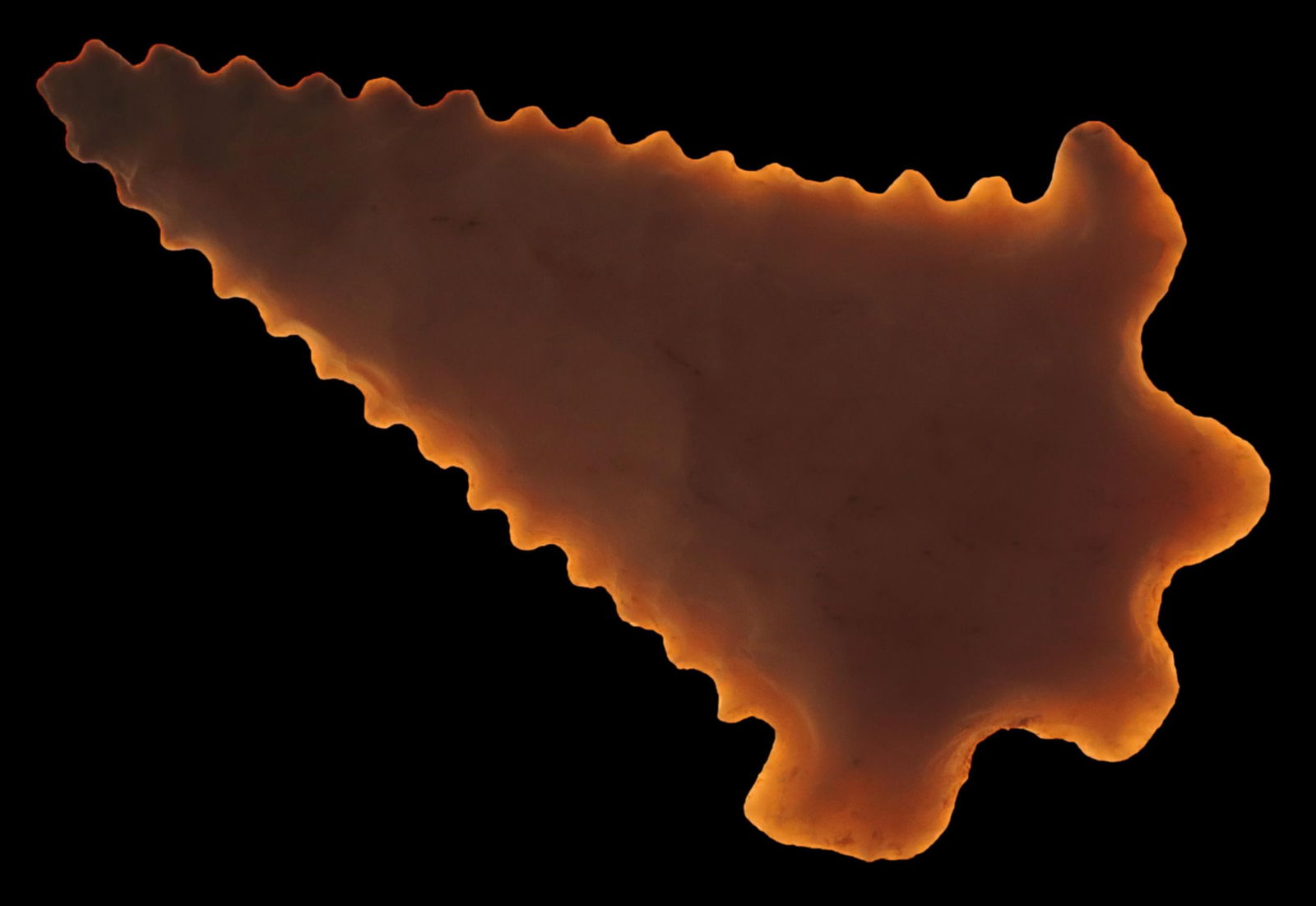 1.3/4" Fox Valley Point, Ex Brian Wrage Coll, This fox valley has been in Brian's collection for (1 of 5)