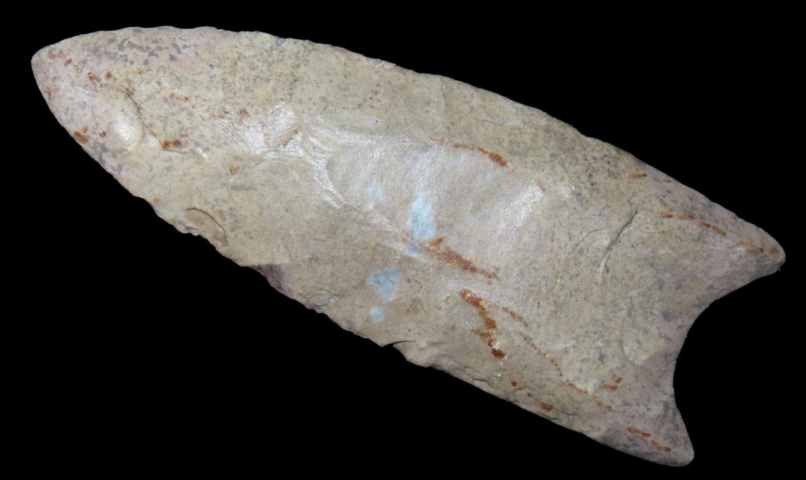 2.5/8" Clovis, Restored, Ex Walt McIntire Coll.: 2.5/8" Clovis, Restored, Ex Walt McIntire Coll.