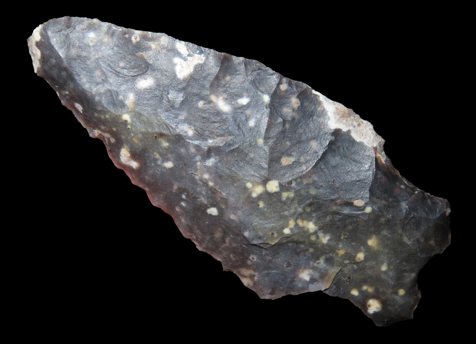 2 1/2" Arrowhead, Quality Texas Artifact acquired from Jerry Dickey (1 of 4)