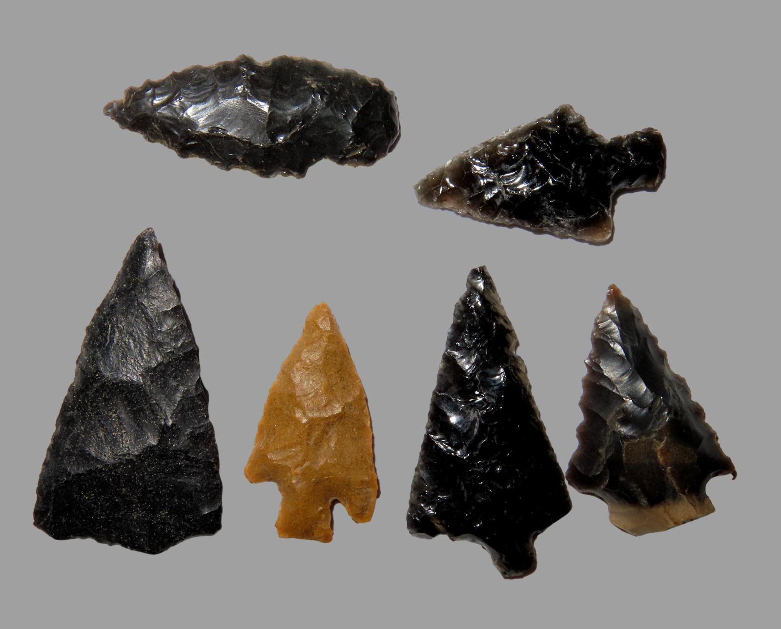 Group of 6 Bird Points, found in Northern California (1 of 2)