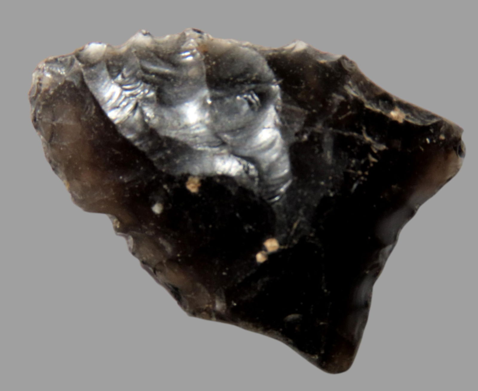 Obsidian Dart/Point found in Oregon, Ex Vernon Hamilton, Ex Steve Cox, Ex Danny Bowen(see photos for (1 of 5)