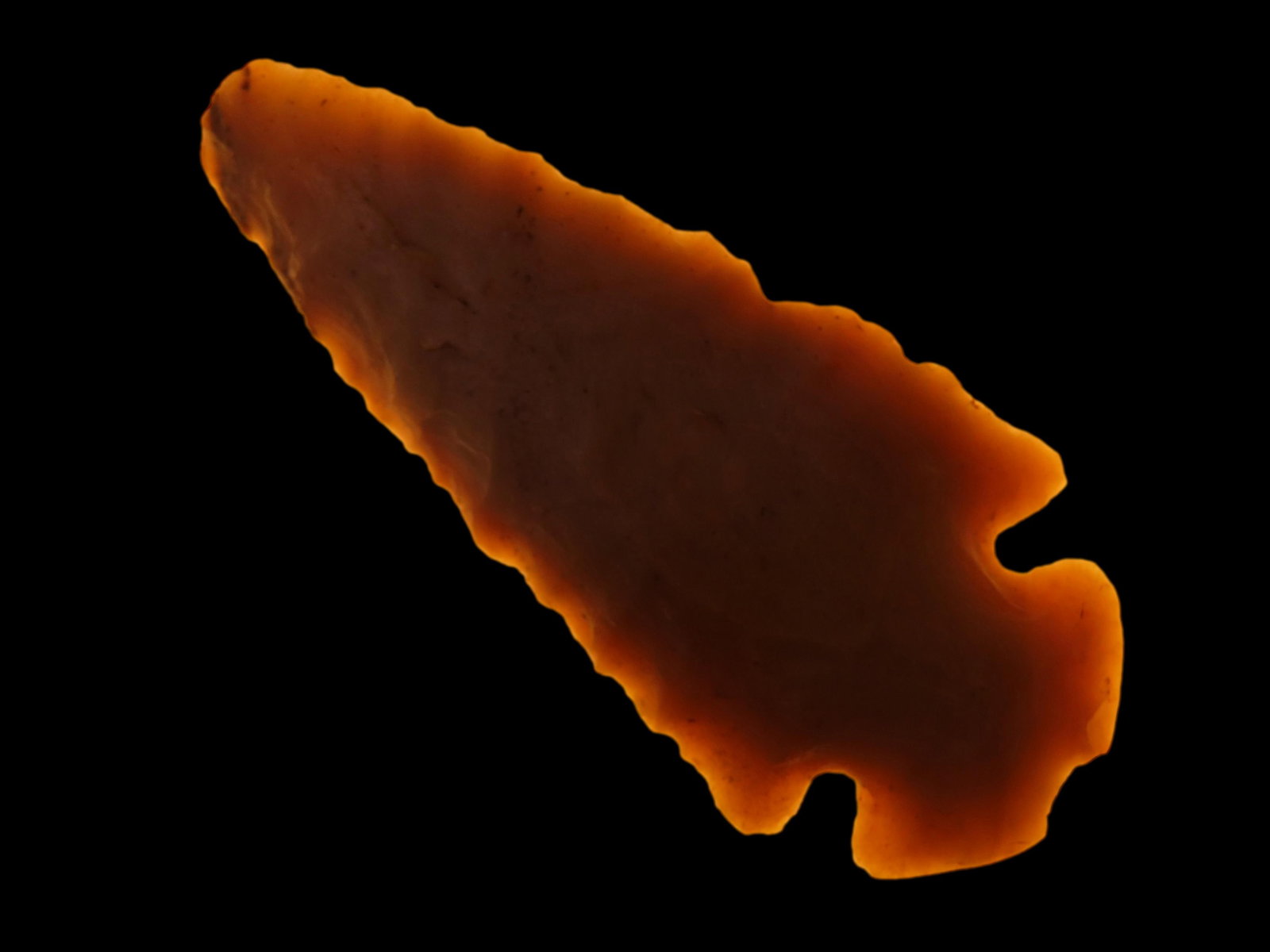 2.1/2" Dovetail, Partain COA, Spencer CO IN (1 of 8)