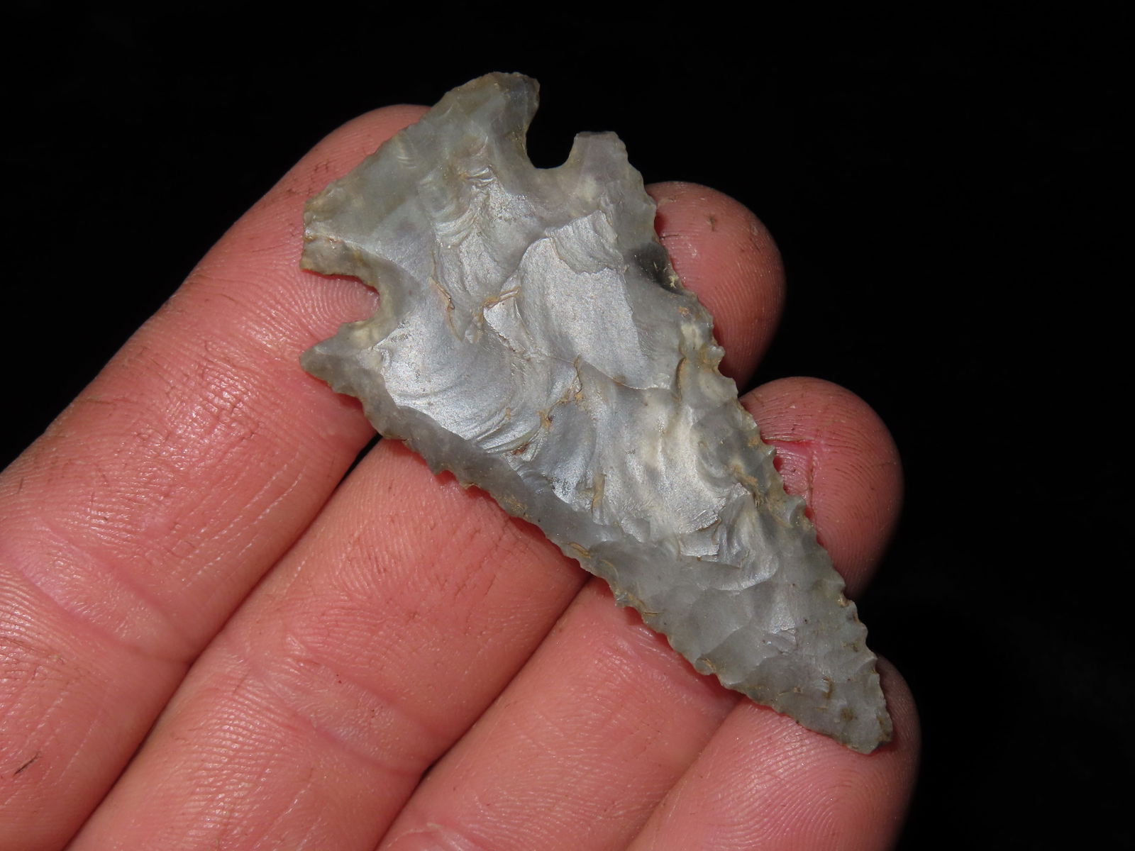 2 1/2" Pine Tree, found in Swans Landing (1 of 7)